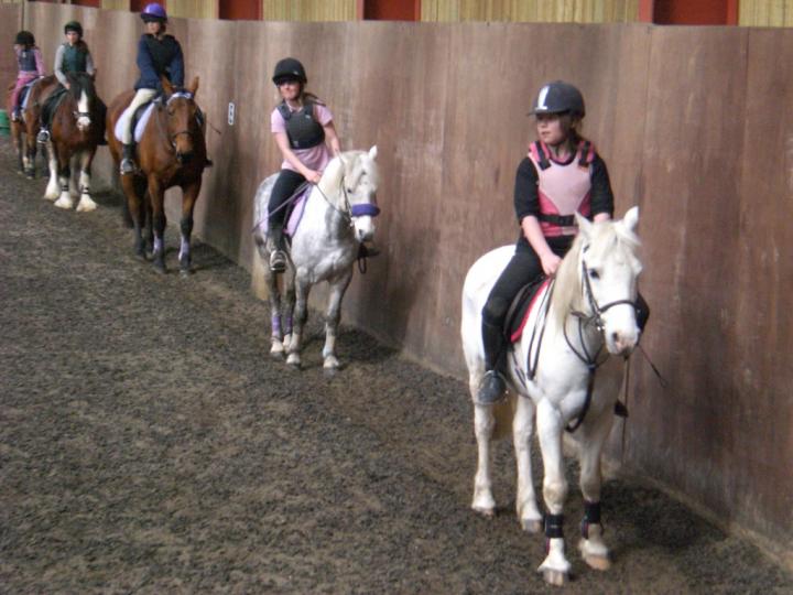 jumping lesson 08 jumping lesson 08